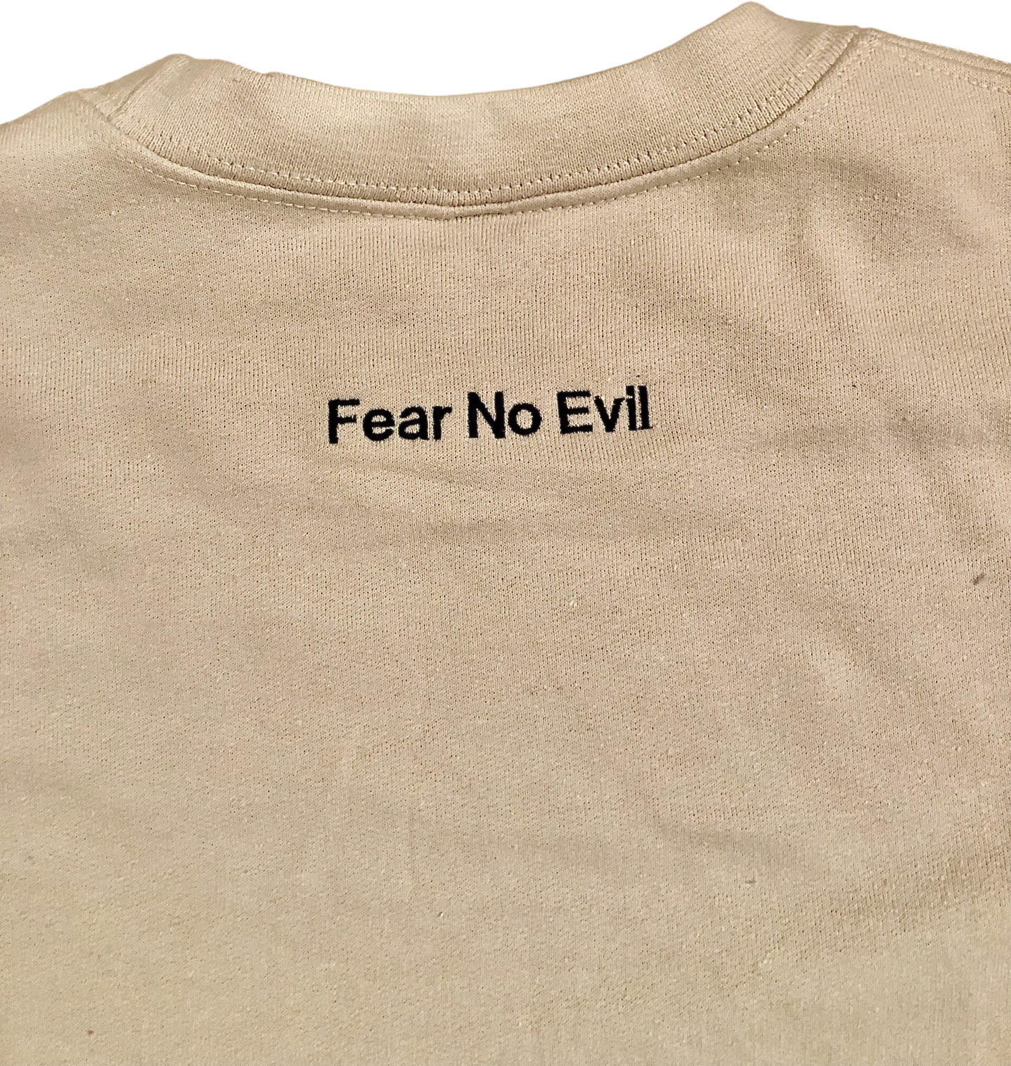 Fear No Evil